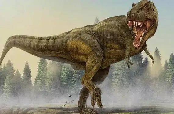 蛮龙的体型在食肉恐龙排在第三位,体型要比南方巨兽龙