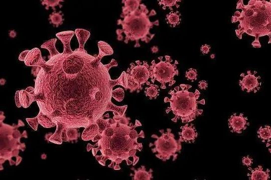 中世天合:浅谈新型冠状病毒肺炎与基础疾病人群的相关性