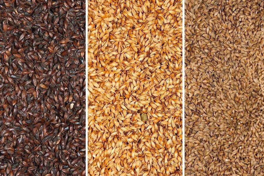 棕色麦芽:增加强烈的类似面包的味道,颜色介于琥珀麦芽和巧克力麦芽