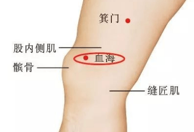 膝盖滑膜炎怎样治疗好得快 a698ea08b146462e9deb49bebf1175d6.png