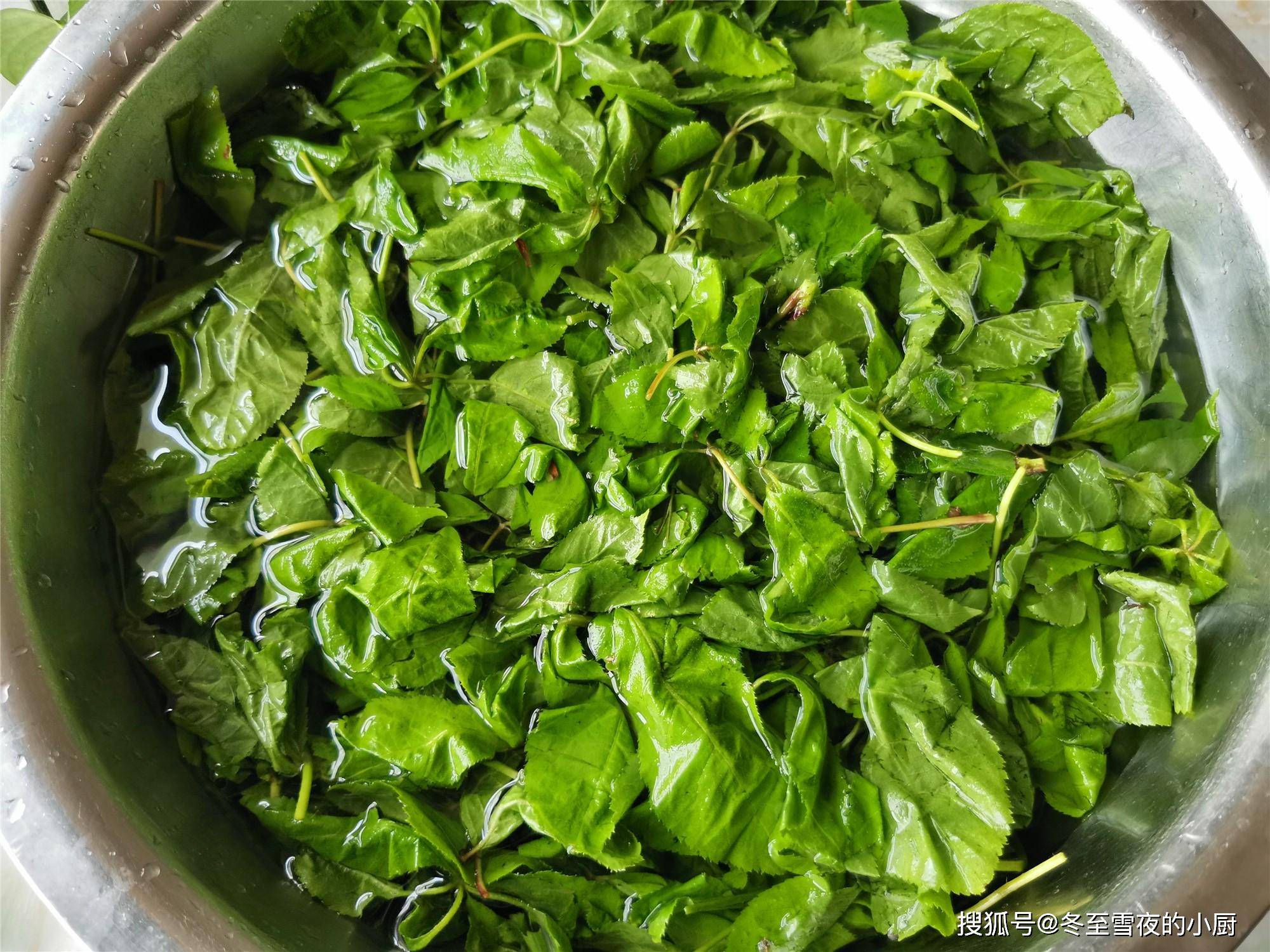 刺五加山野菜别总是蘸酱吃教你凉拌的做法清香好滋味