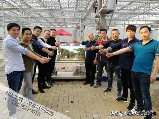 本色水景 | 教你认识——常见莫斯品种！水草造景缸培训学习，雨林缸开店加盟