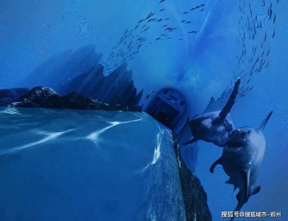 梦境之河，鱼群与生死交错的奇幻之旅