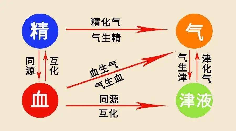 中医里有句话不知道大家有没有听过:精化气,气化神.