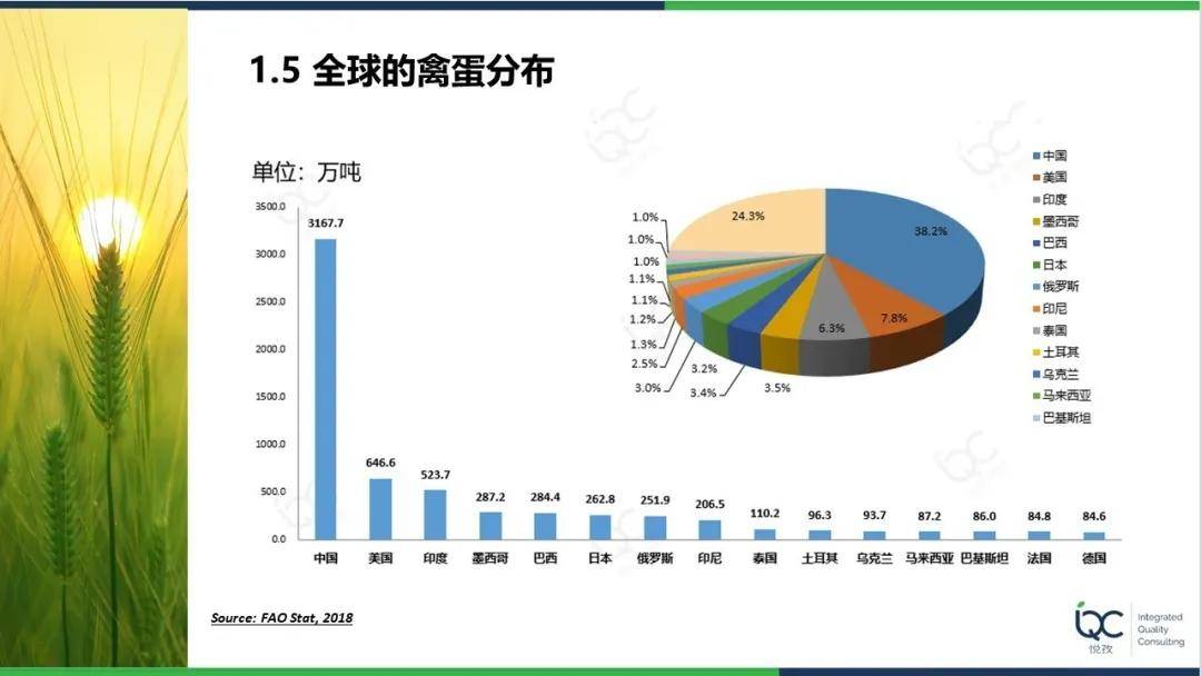 鸡蛋人均消费_鸡蛋卡通图片(3)