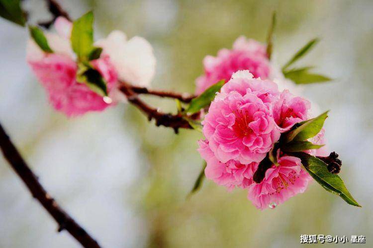 把泪化作相思雨简谱_让泪化作相思雨图片(3)