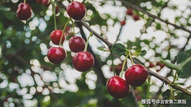 这种水果有剧毒？严重时甚至毙命？