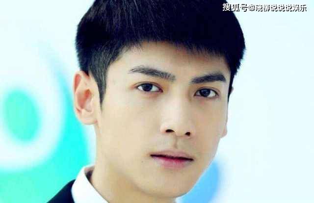 因演戏走红的男歌星，罗云熙李易峰上榜，最后