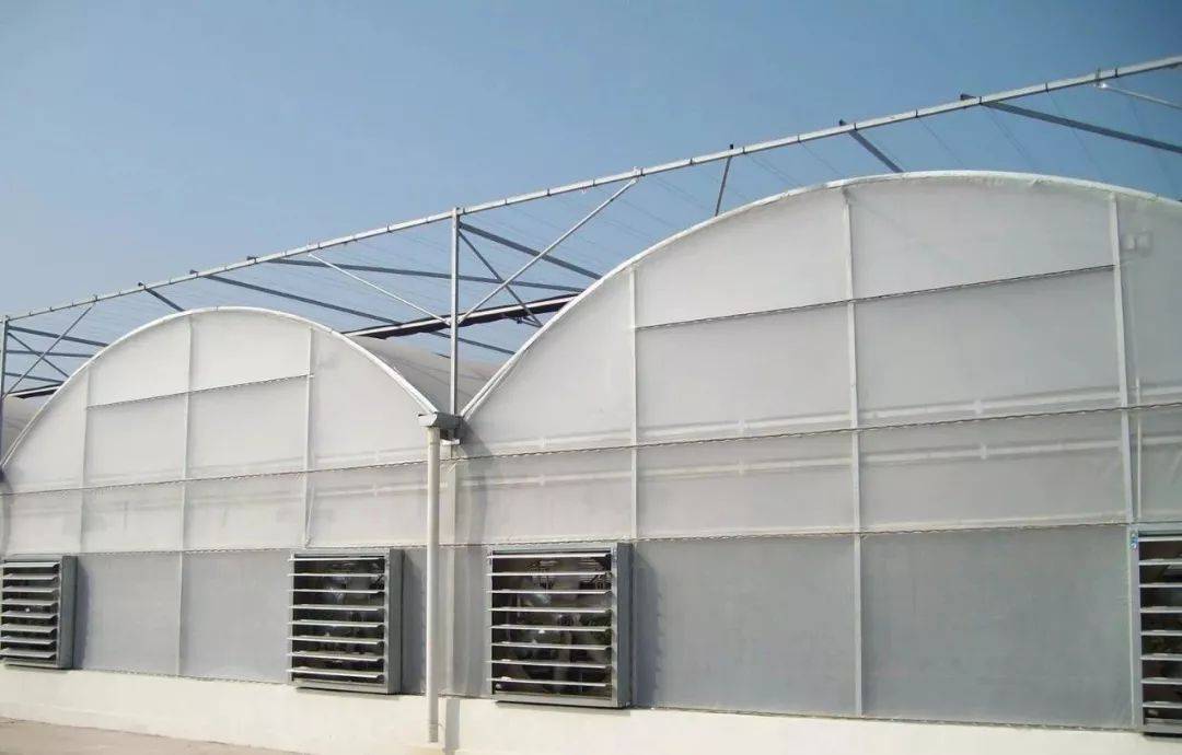 双层保温棚 38d319b7b10548a7a98df5a5b8dc6a8e.jpeg