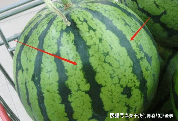 买西瓜怎么拍 b4c93fd48e7a44fa9d8ea54b86287f1f.png