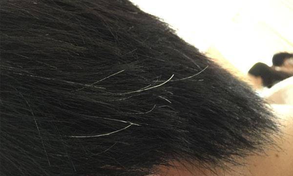 20113a1af9c34a6b95efc55d280c1055.jpeg