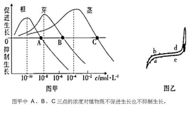 人口两重性_人口普查图片(2)