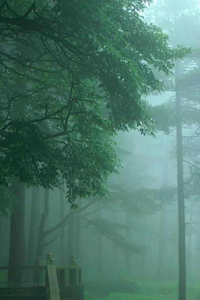 淋雨的人醉了,听雨的人心碎了.