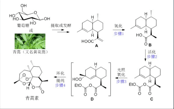 北京欧倍尔优秀合作案例之治疗疟疾药物青蒿素的合成虚拟仿真教学项目