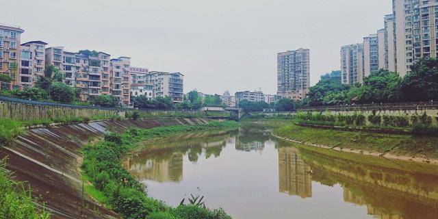 四川GDP靠谁_四川gdp城市排名(2)