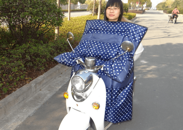 好的电动车挡风被 3bcf3a21ebb642c0a507d2f560f6e71f.png