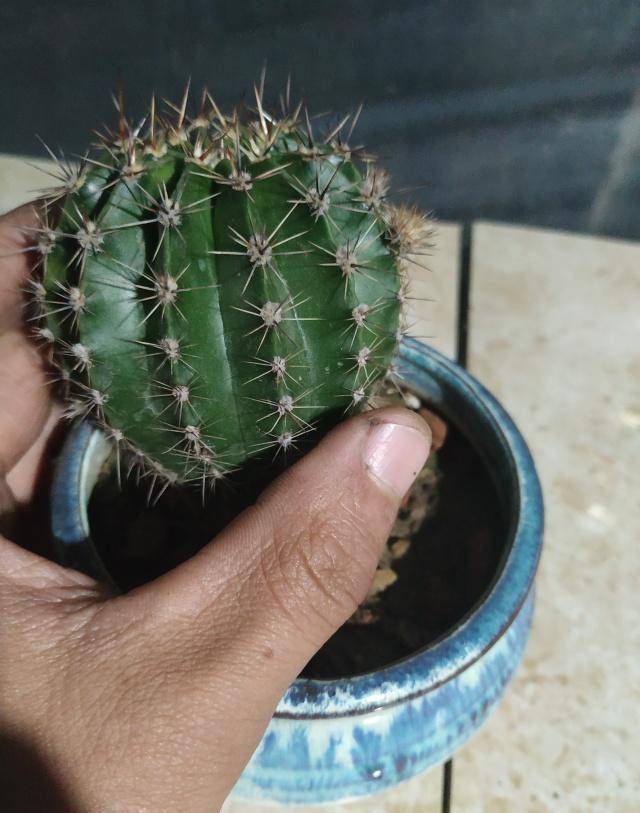 什么土壤种菜好 6da4c9aa30cd4d0f879ddc7b9f048912.jpeg