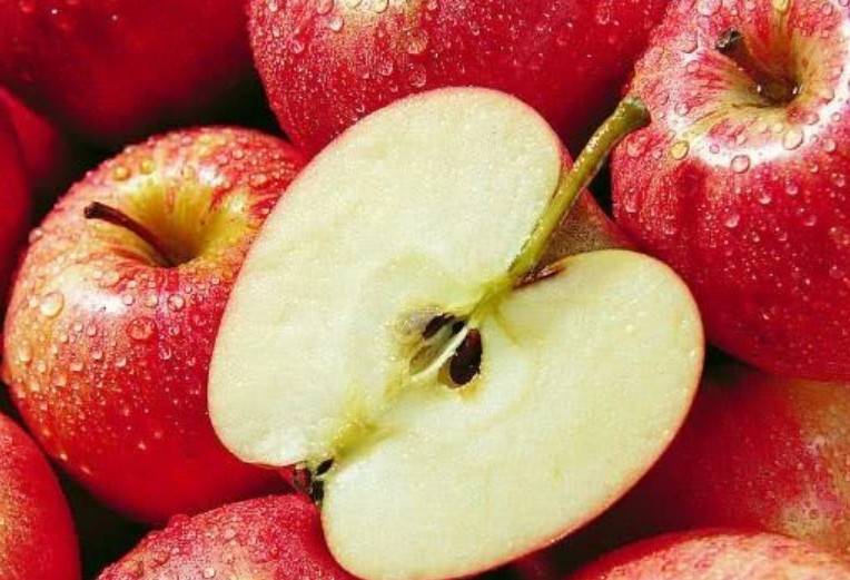 74d4fab9185042ec89a67eacaa0865fd.jpeg