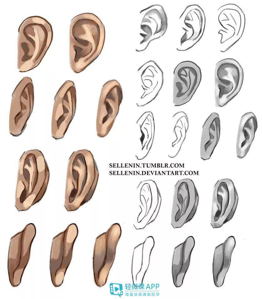 【推荐】动漫人物耳朵怎么画,动漫人物五官教程-轻微课二次元教程