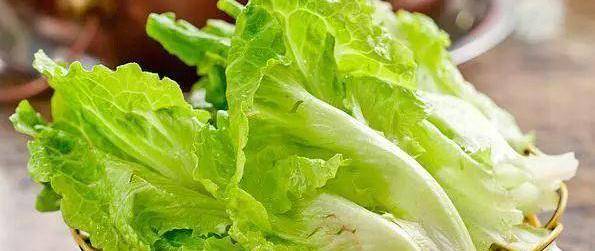 绿叶蔬菜冷藏 10c76f593b024c24a7f27a6943df0667.jpeg