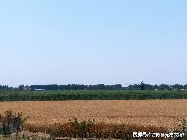 2b2702239efb4d6a9aeb85959c56f217.jpeg