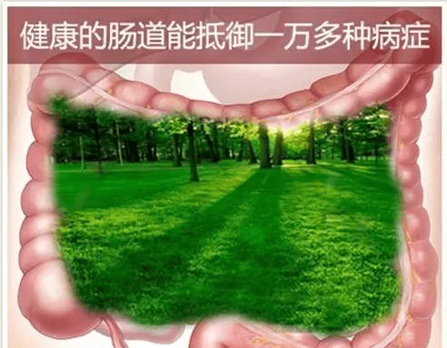 ad188c0d184443be9e6b0b024436ce72.png