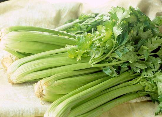 芹菜可以和香菇一起吃不 6866b7f6fecc4465aeb50c598b699c66.jpeg