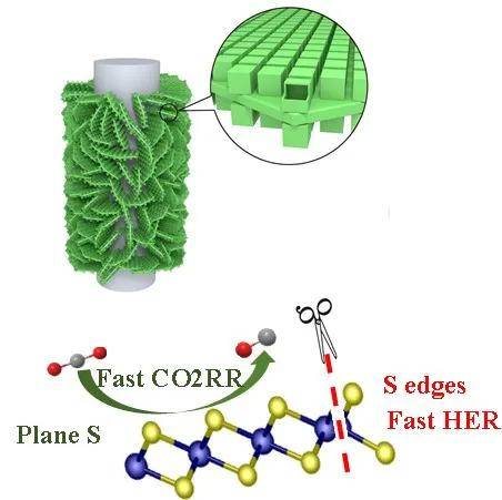 深圳大学在cos2纳米笼高效co2全反应催化剂取得重要进展