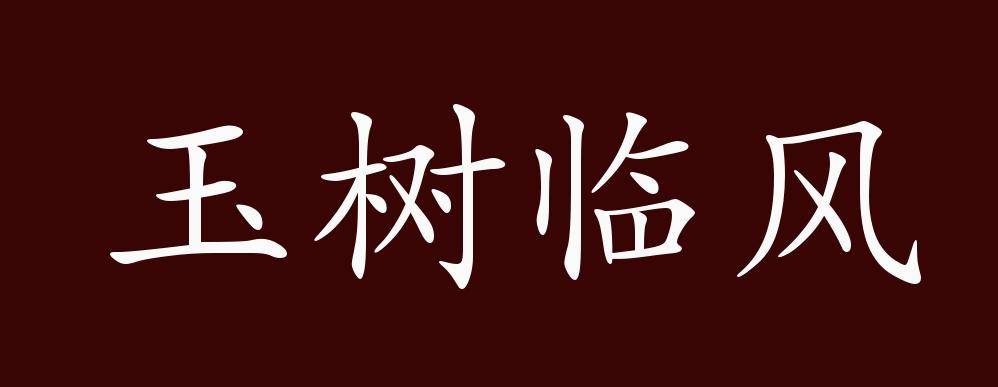 玉树临风的出处释义典故近反义词及例句用法成语知识