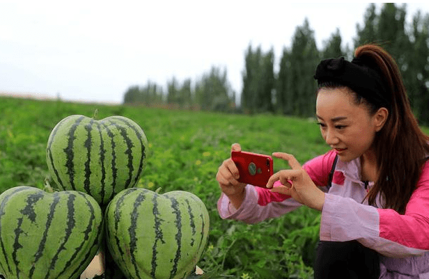 怎么搭西瓜节_国庆节的画怎么画(2)