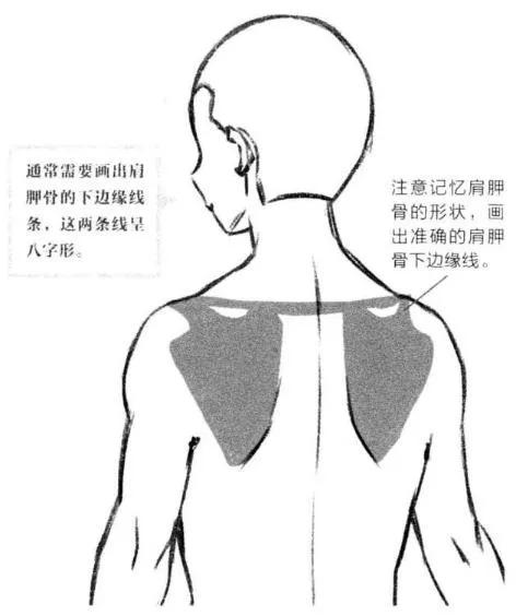 67620b6dde3943c3bab3e6270ff926b9.png