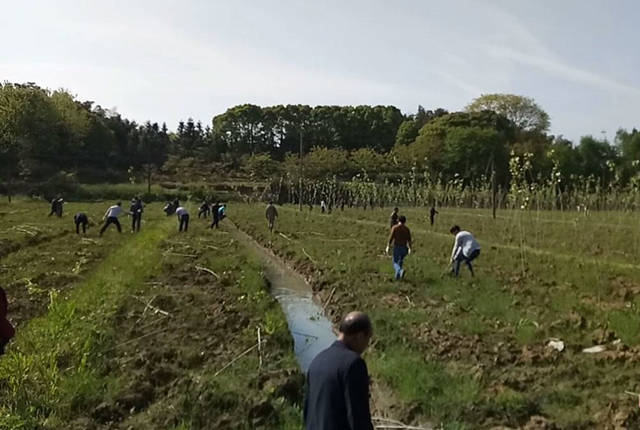 现在能种树了吗 a835e889e65747738283c1c5697e3f20.jpeg