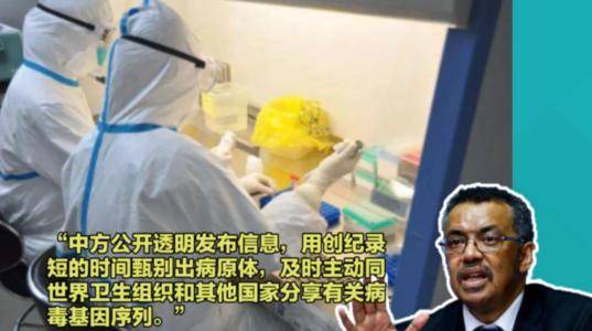 美国退出世卫组织，会带来什么后果？