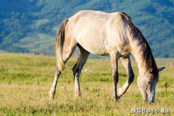 78年马几月份最好 bb8616aeb750491992f9d48a62f57bdb.jpeg