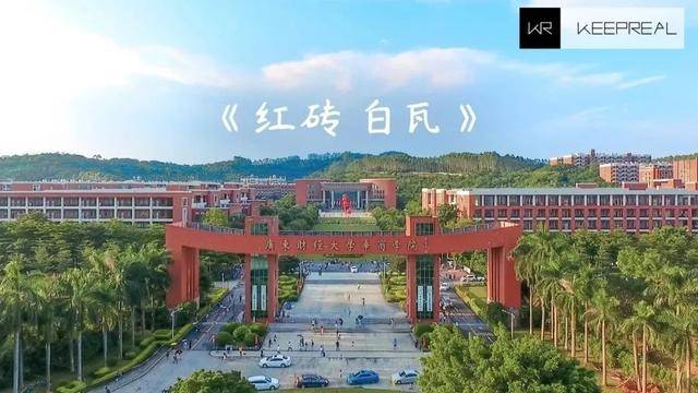 人数|2020专插本竞争最激烈大学，最高淘汰4239人难难