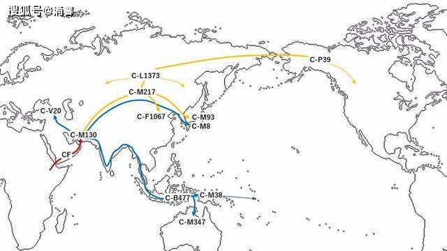 黑人人口上升_上升箭头图片(3)