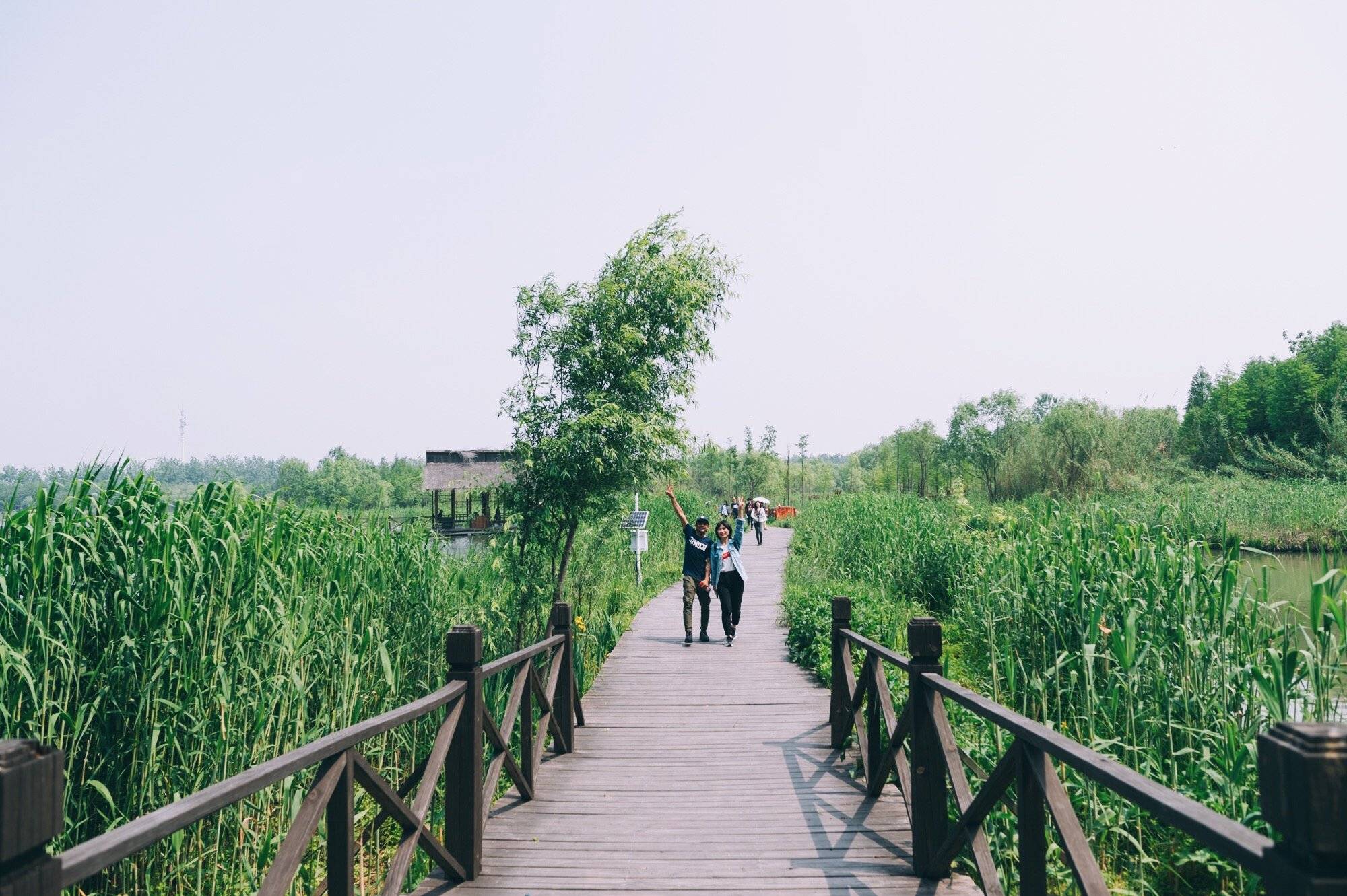 姜堰溱潼湖湿地公园现在的门票价格是多少-姜堰溱湖风景区的门票如此之贵???