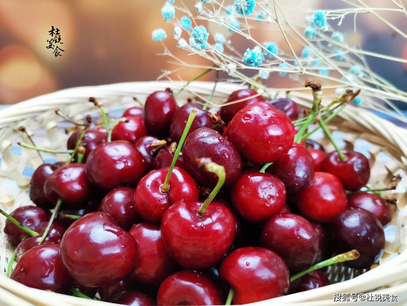 向阳花木易为春什么意思啊 355c8b37c3e2469993804ed522c3a875.jpeg