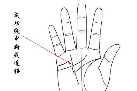 四,手相中的哪些纹路会影响成功线与运势 1. 手掌中的