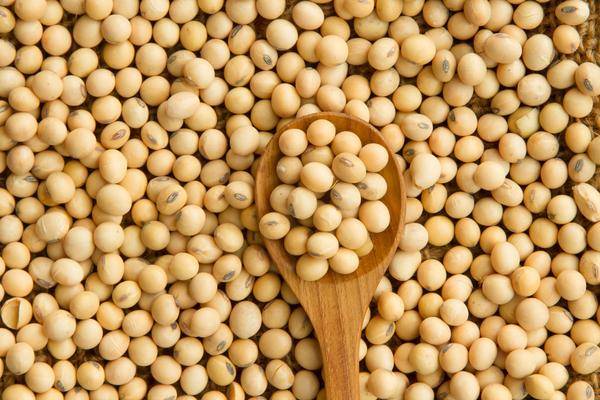 食物发芽到底能不能吃？医生提醒：这种一口别吃，3种多多益善！