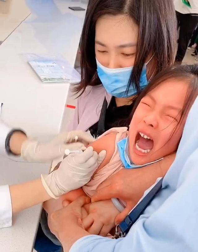 女儿打针前哭天喊地，针头扎进肉里那一刻女儿瞬间安静，妈妈笑翻宜昌现清江生物群
