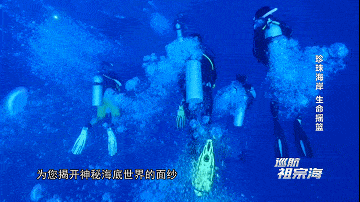 《巡航祖宗海》和摄影师潮和一起走进分界洲岛绝美的海底世界