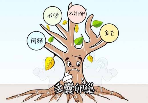 fd66a44219734093a31a0f6858c98e61.jpeg
