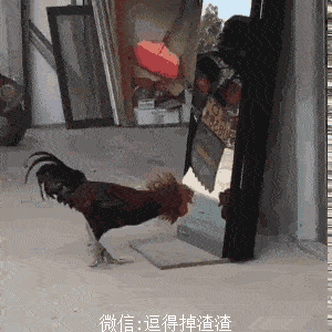 搞笑gif段子:网上买的不粘锅,感觉小了点