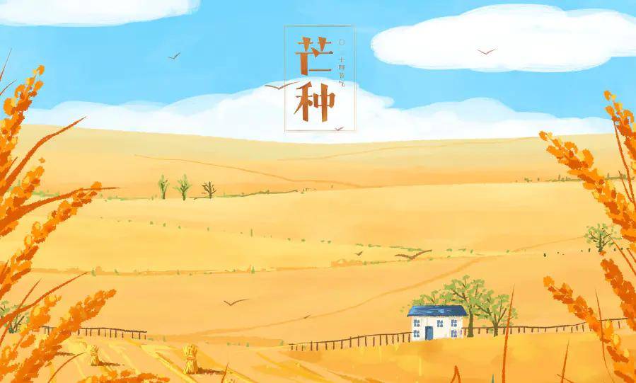 [养生知识] 芒种|湿气最重的节气来了！ 