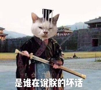 生气专用猫咪表情包