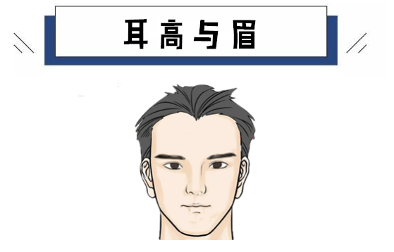 耳高与眉
