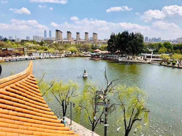 宁波新一线城市排名_两座“最尴尬”的二线城市,去年还是新一线城市,今