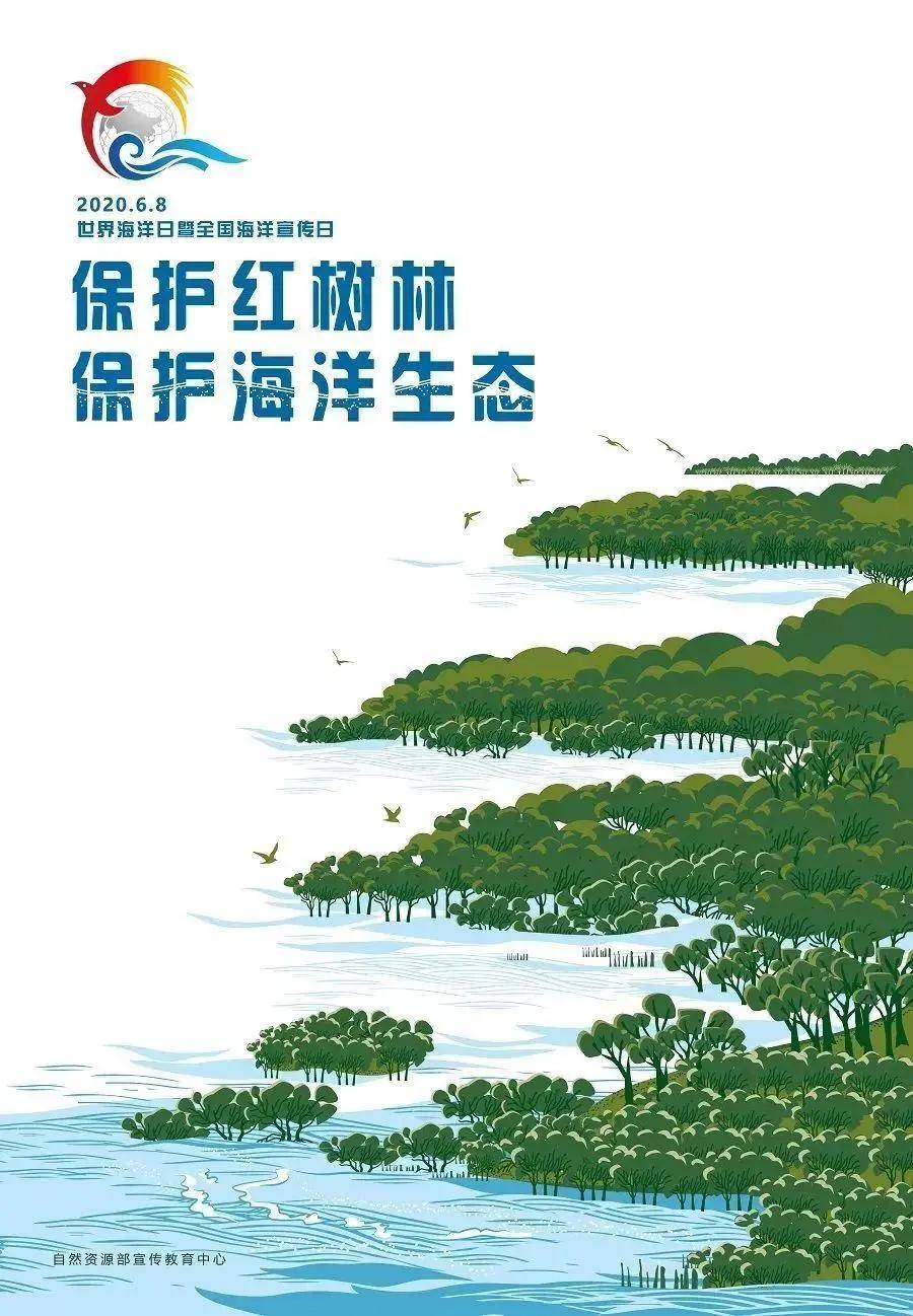 世界海洋日丨"保护红树林 保护海洋生态"让我们一起守护地球的"蓝色