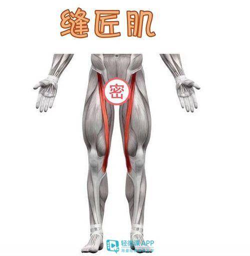 如何拥有漫画腿女生 3c87bddd59dd4dfda9a5faca47b354b2.jpeg